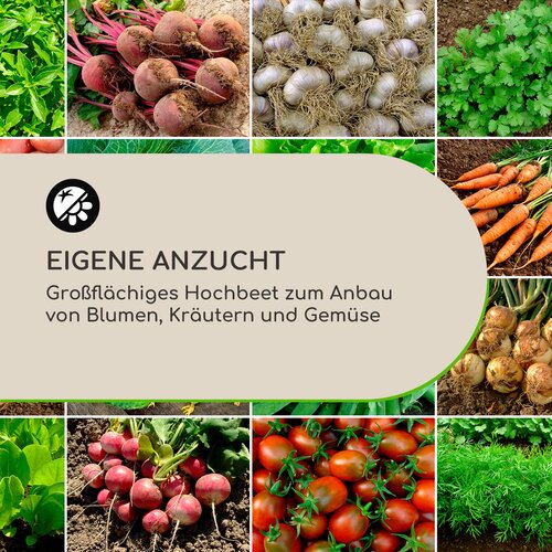 Blumfeldt High Grow Straight, visoka greda, 200 x 90 x 100 cm, 1800 l, jeklo Cene