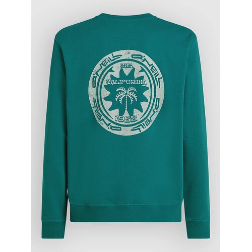 O'neill Musthave Graphic Crew Pulover botanical heat Cene
