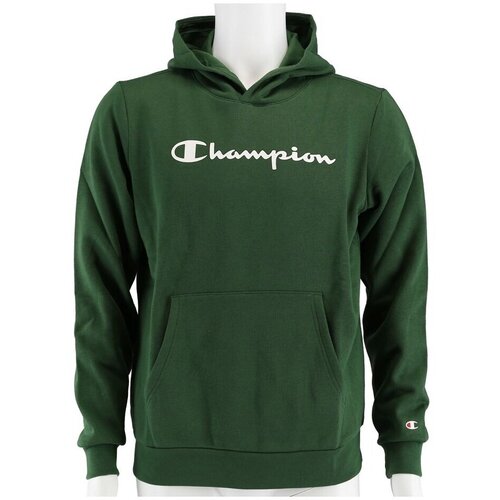 Champion Big Logo Print Zelena Slike