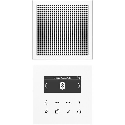 Jung Smart Dab+ DigitalRadio DAB LS1 BT WW, (20584213) Cene
