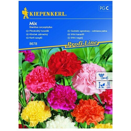 KIEPENKERL Sjeme cvijeća Vrtni karanfil (Dianthus caryophyllus) Cijene