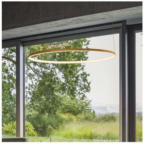 Ideal Lux led luster na sajli oracle slim LED/37W/230V 3000K, prečnik 70 cm, zlatna Cene