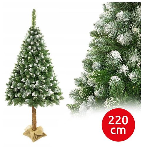  Božićna jelka na deblu 220 cm, bor Cene
