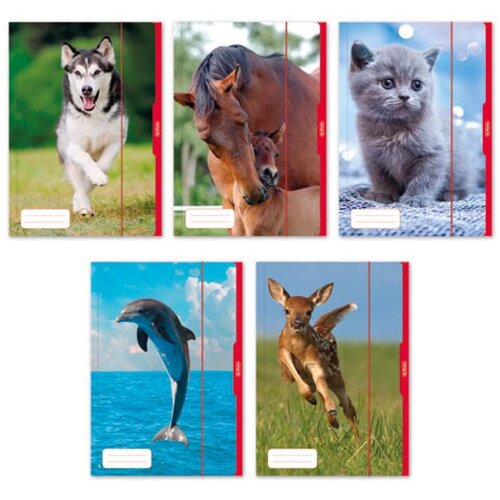 Herlitz Fascikl pre&amp;scaron;pan s klapnom i gumicom, A3 Animals Slike