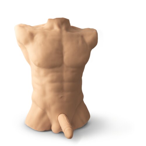 SilexD Mu&amp;scaron;ki torzo sa dildom Apollo L Male Torso Flesh, Boja kože Slike