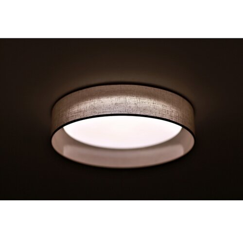  Duolla - LED plafonsko svetlo ROLLER LED/24W/230V, svetlo sive boje, prečnik 45 cm Slike