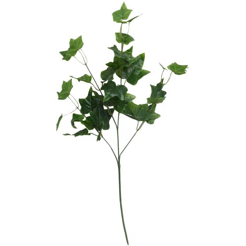  Rezano cvijeće Grana zelenila 66 cm 64810110 Cijene