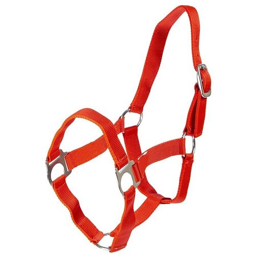 Zaldi T+T Ular za ždrebe crveni Cene