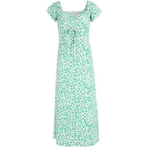 Dorothy Perkins Tall Obleka kremna / zelena / svetlo zelena Slike