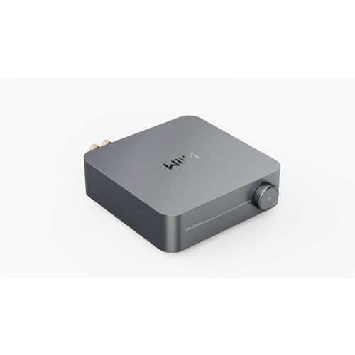 WIIM AMP Grey Cene