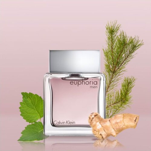 Calvin Klein Mu&scaron;ki parfem (EDT) &mdash; &bull; Poklon u opisu Cijene