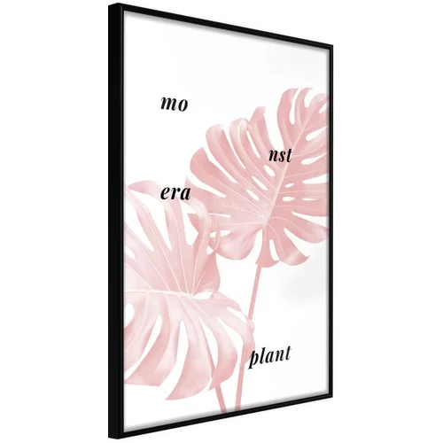  Poster - Pale Pink Monstera 20x30