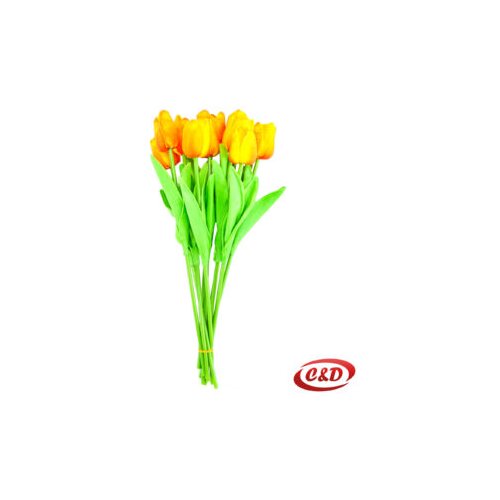  Tulipan 1 komad Slike