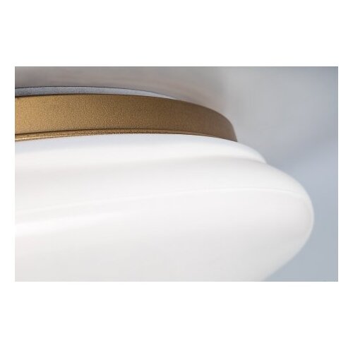 Rabalux STROPNA KOPAL. LED-SVETILKA CALIOPE 41/39,5/10 cm 4000 K Slike