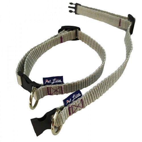 Pet Line Ogrlica Shih Tzu Cene