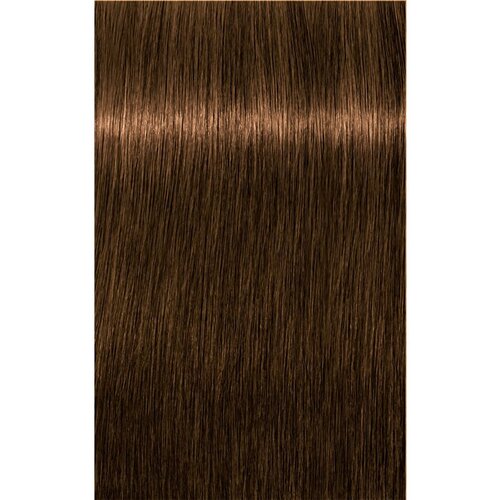 Schwarzkopf Professional IGORA Royal Absolutes barva za lase odtenek 6-50 60 ml Slike