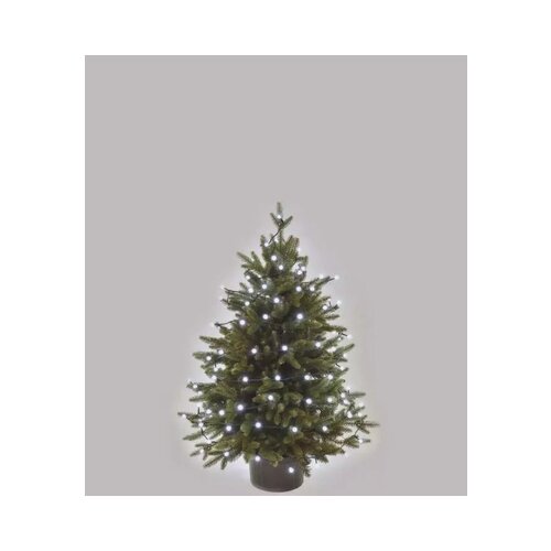 Emos LED svetlosni lanac - cherry 80 LED 8m MTG-D5AC06 Slike