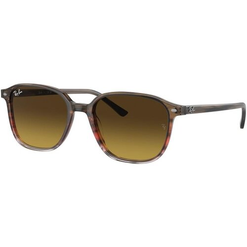 Ray-ban Leonard RB2193 138085 - M (53) Slike