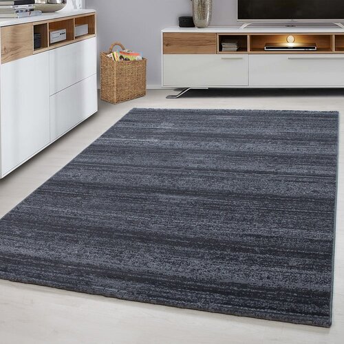 Ayyildiz Carpets Sivi tepih 140x200 cm Plus &amp;ndash; Slike