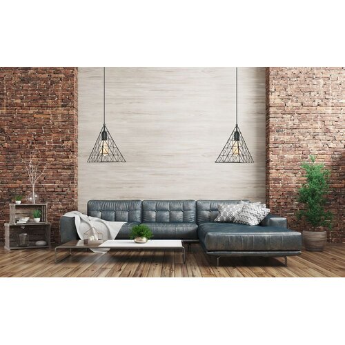 Toolight stropna svjetiljka u stilu loft LH2058 Slike