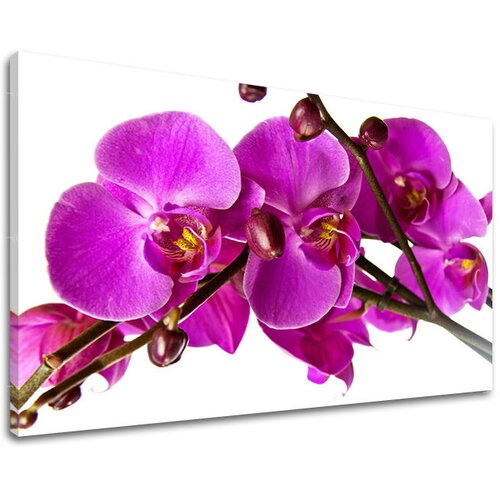  Slike na platnu cveće  (moderne slike na platnu) Cene