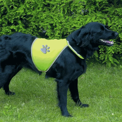 Trixie REFLECTIVE DOG VEST XS Sigurnosni prsluk za pse, žuta, veličina