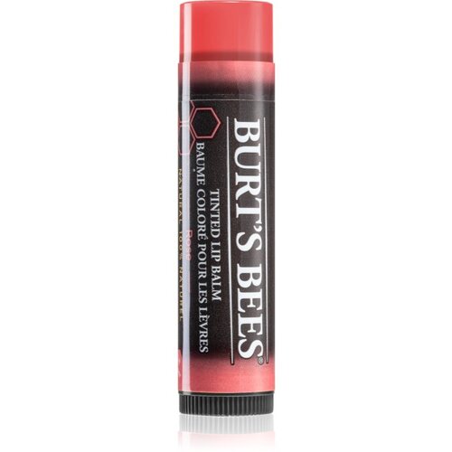 Burt’s Bees Tinted Lip Balm balzam za ustnice odtenek Rose 4.25 g Cene