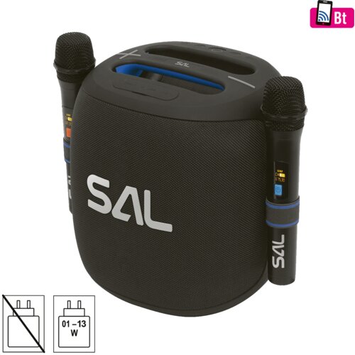 Sal Zvučnik bežični sa mikrofonom,Boombox,Bluetooth,100W,IPX5 - PARCUBE Cijene