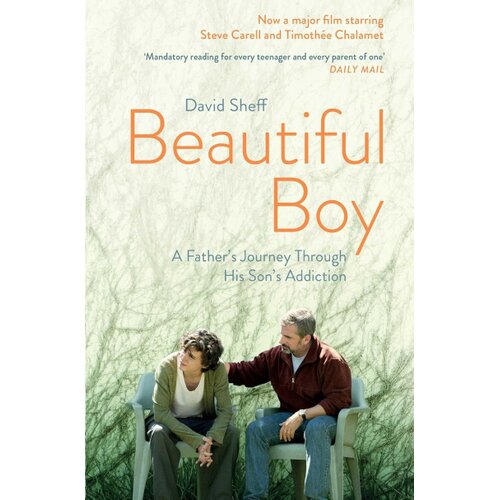 Harper Collins Publishers Ltd David Sheff - Beautiful Boy Slike