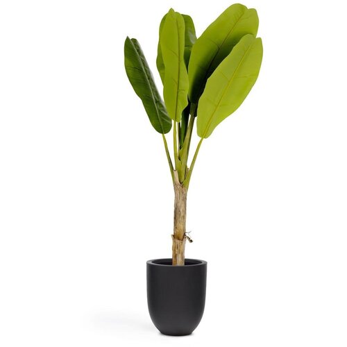Kave Home Umetna palma (višina 160 cm) Baa – Cene