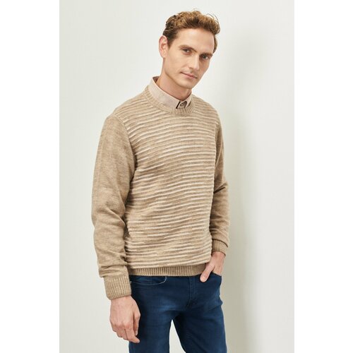 ALTINYILDIZ CLASSICS Men's Mink-Bone Standard Fit Normal Cut Crew Neck Textured Patterned Knitwear Sweater. Cene