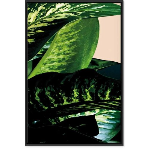  Slika - Dieffenbachia (1 Part) Vertical 80x120 Slike