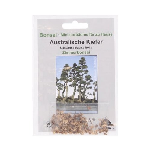 TROPICA avstralski bor Cene
