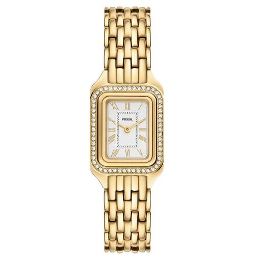 Fossil satovi Slike