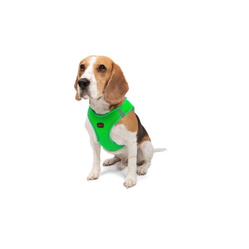 Paws &amp;amp; Whiskers am za pse air-mesh, zeleni Slike
