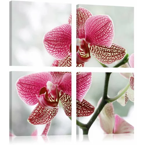  Slika - Fancy orchid 40x40