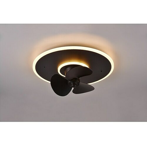 Trio Leuchten Stropni ventilator Nybro (Crne boje, Prozirno, Promjer: 50 cm) + BAUHAUS jamstvo 5 godina na uređaje na električni ili motorni pogon Slike