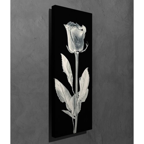 Opviq Slika na platnu Wally 30x80cm Cijene