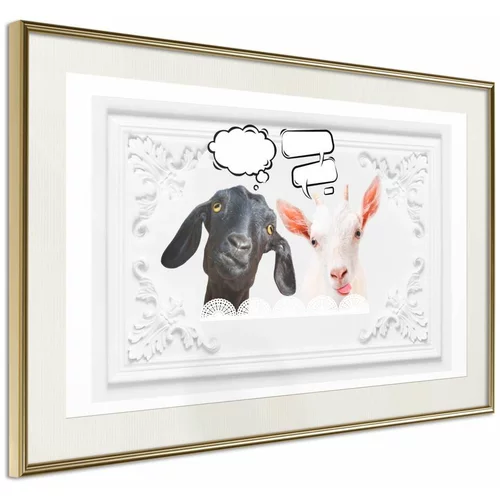  Poster - Conversation of Two Goats 60x40