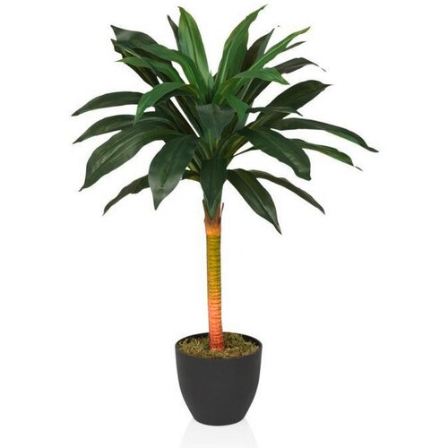MID.YOU Umetna Rastlina Dracaena I Slike