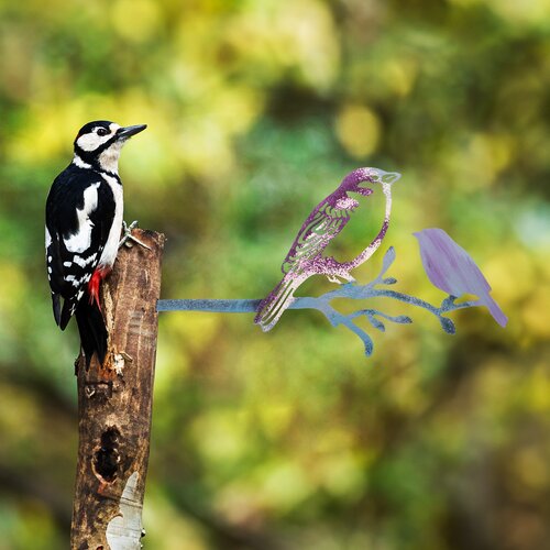 Atelier Del Sofa dekorativna figura bird on the branch 22, 20x40 cm, 1.5 mm, šarena Cene