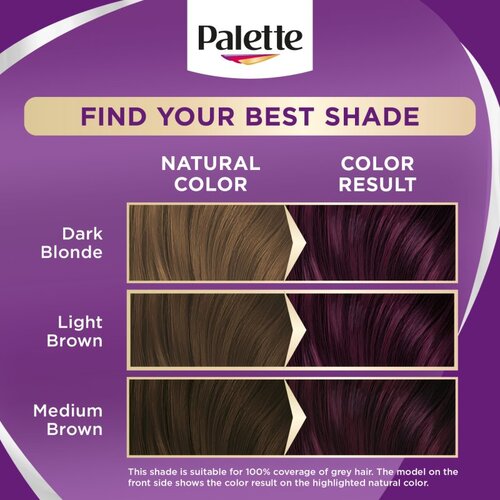 Schwarzkopf Palette Intensive Color Creme trajna boja za kosu nijansa 6-99 (V5) Intense Violet 1 kom Slike
