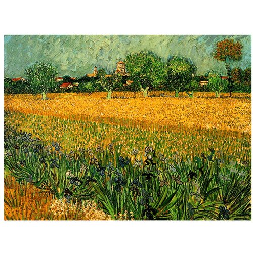 Fedkolor reprodukcija slike vincenta van gogha - view of arles with irises in the foreground, 40 x 30 cm Slike