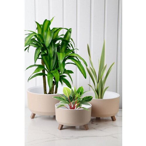 WALLXPERT TRPTSKS-3-3 cream vase set Slike