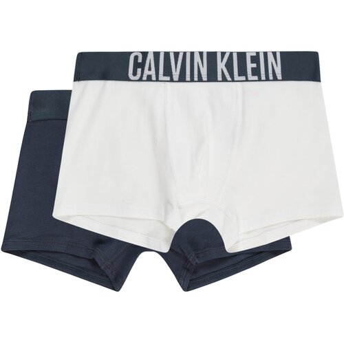 Calvin Klein Underwear Gaće mornarsko plava / bijela Slike