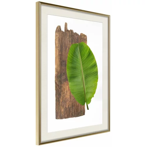  Poster - Forest Nature 30x45