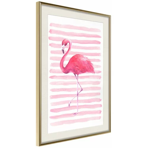  Poster - Pink Madness 40x60