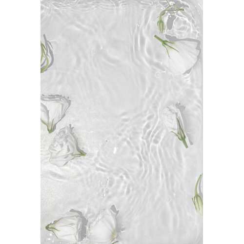 Venture Home poster White Roses 50 &times; 70 cm, bijeli Cijene