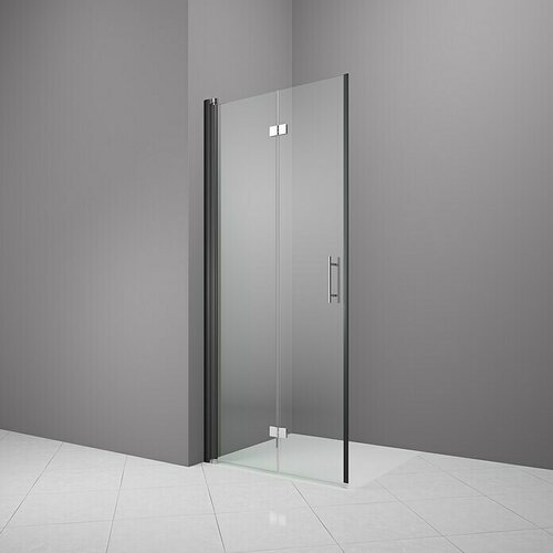 CAMARGUE Vario Sklopiva vrata za tuširanje B53 (90 x 195 cm, Premazano, Debljina: 6 mm, Crne boje) Cijene