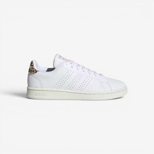 Adidas Nizke superge ADVANTAGE Bela Slike